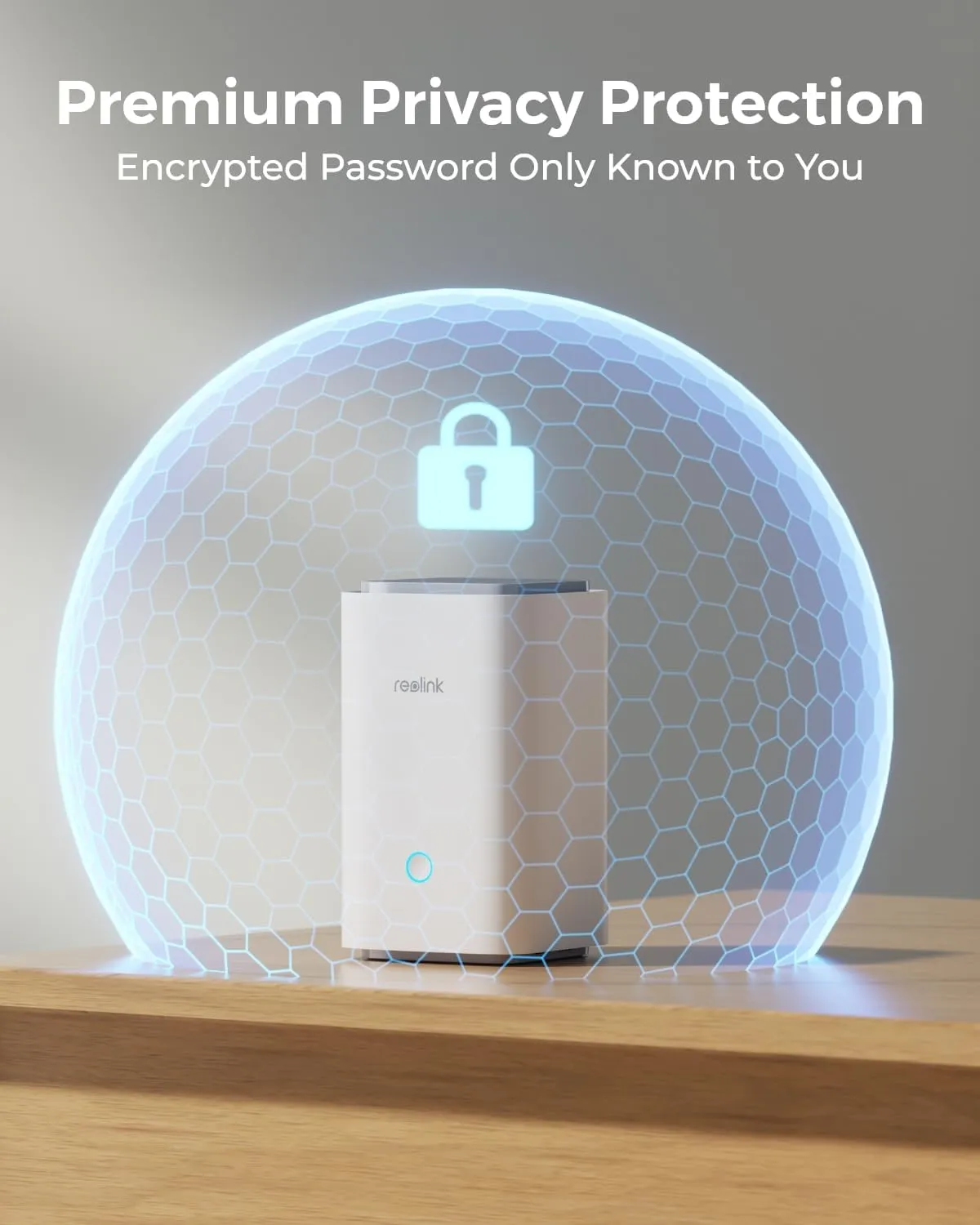 Reolink Home Hub 1